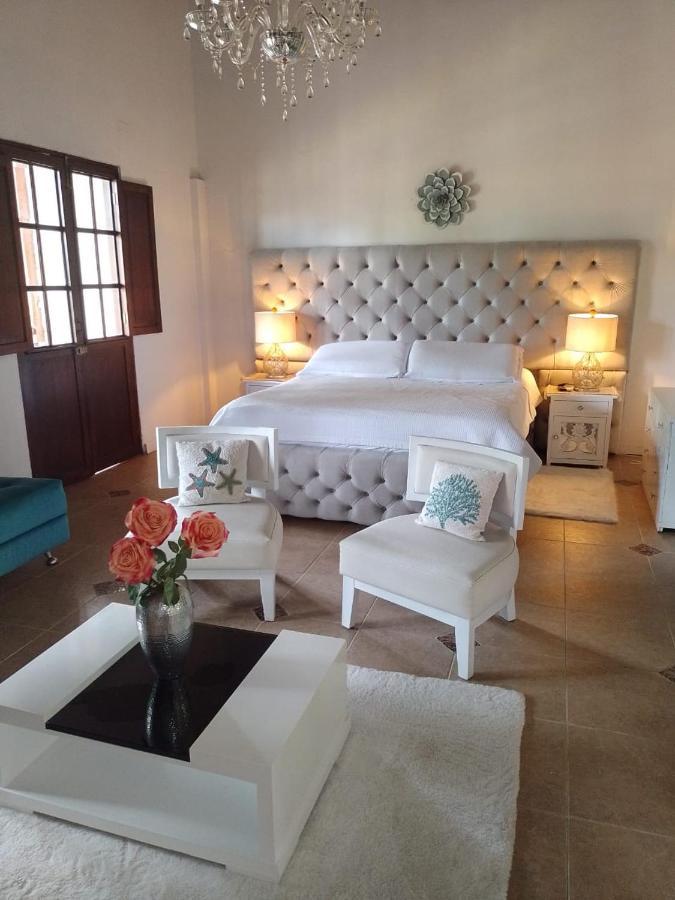 Hotel Colonial Andino - Parque Principal De 피탈리토 외부 사진